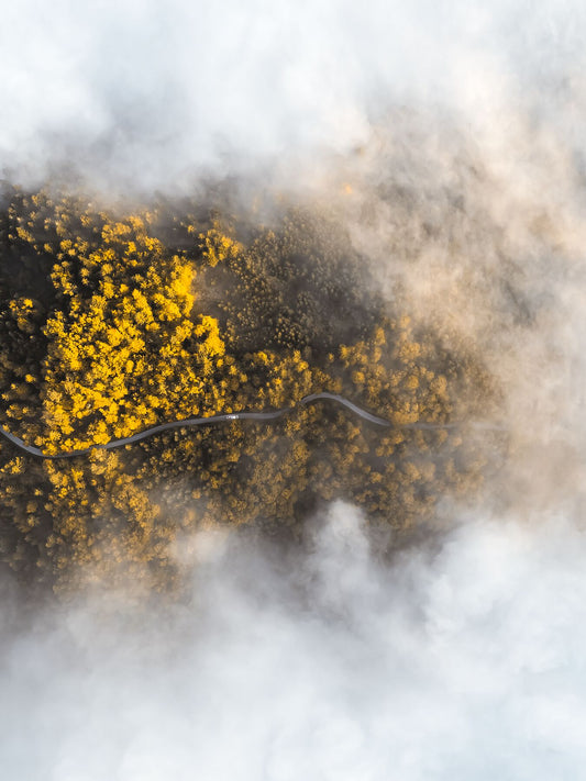 A landscape image with yellow and green hues, resembling a cloudy sky, presented on a black background. This appears to be a print or photo with a white border, possibly for mounting.
