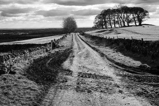 A black and white photograph of a muddy rural track leading towards a copse of trees, with a fence on the left side and a cloudy sky above.