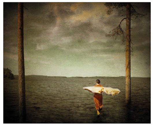An image of a person standing on a body of water, with trees in the background and a cloudy sky above.